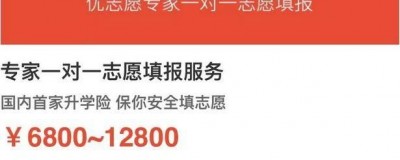 聊点实在的：AI燃油宝代理是啥门路？我跑了一段时间的真实感受