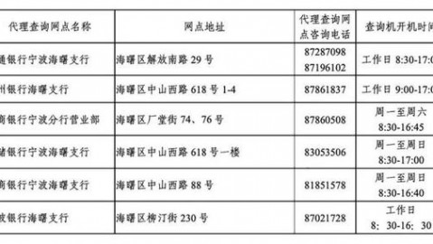 宁波AI地区代理电话号码难找？别急，我把跑断腿整理的门道全告诉你