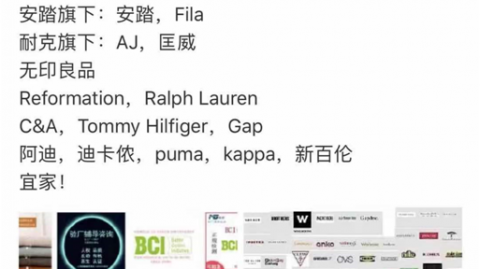 想当“AI狗蛋公司”代理人？先别急，听我唠点实在嗑再掏钱！